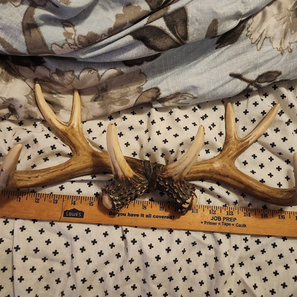 Natural Antler Decor